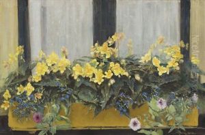 Flowers In A Window Box: Yellow Begonias, Forget-me-nots And Petunias Flowers In A Window Box: Yellow Begonias, Forget-me-nots And Petunias