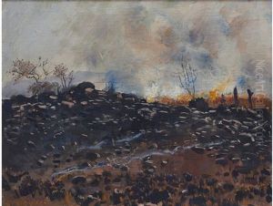 Veld Fire by Frans David Oerder
