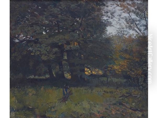 Wood Collector - view 1