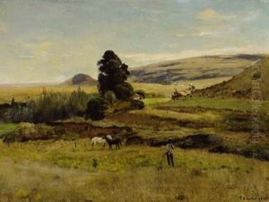 Landscape Landscape