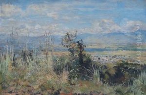 Landscape Near Tzaneen