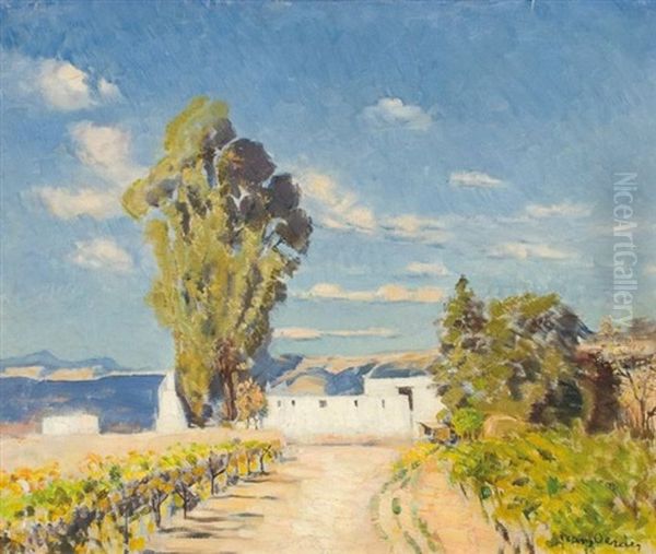 A Cape Wine Farm - view 1
