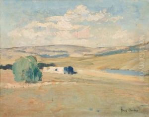 Extensive Transvaal Landscape Extensive Transvaal Landscape