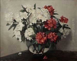 Rhododendrons