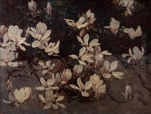 Magnolias