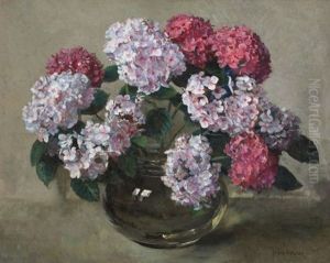 Hydrangeas In A Bowl Hydrangeas In A Bowl