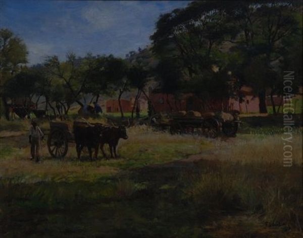 Farm Near Pretoria - view 1