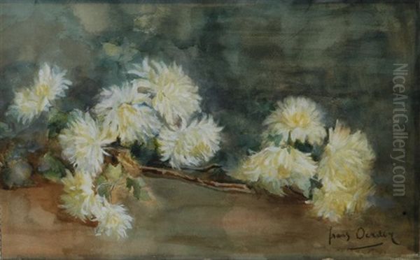 Chrysanthemums - view 1