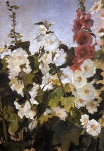 Hollyhocks Hollyhocks