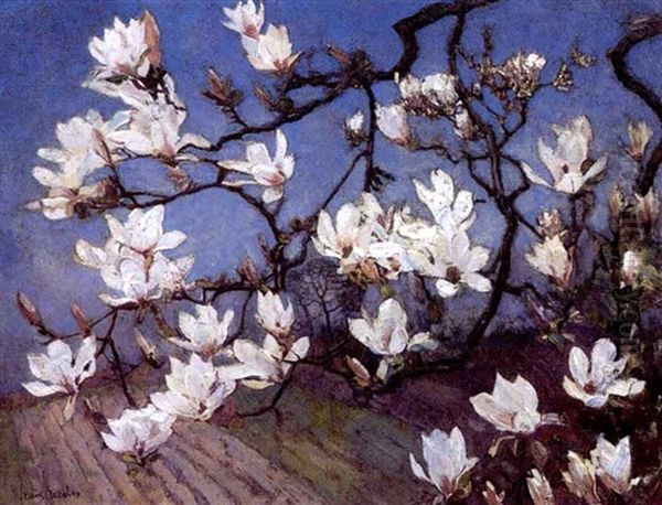 Flowering Magnolias - view 1