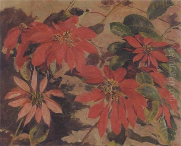 Poinsettias - view 1