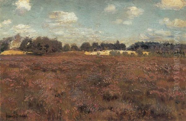 An Extensive Landscape With Trees In The Distance - view 1