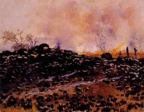 A Veld Fire - view 1