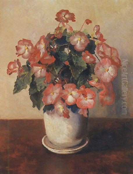 Still Life Of Begonias - view 1