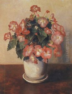 Still Life Of Begonias