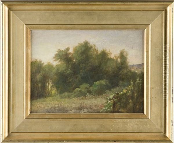 Landscape - view 1