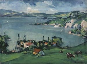 Blick Auf Den Gardasee