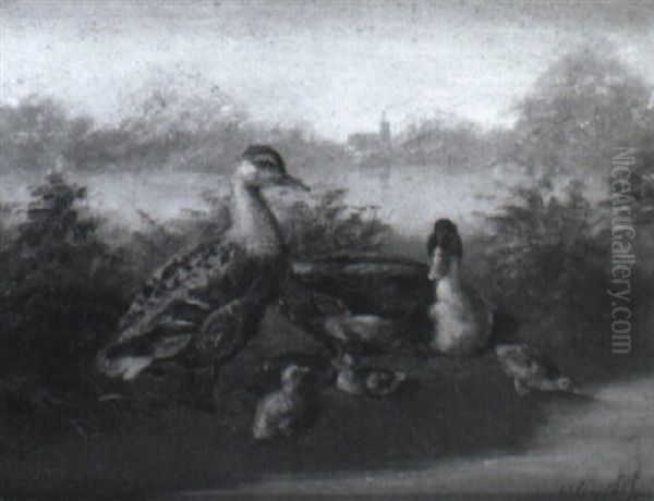 Ducks By A Pond - view 1