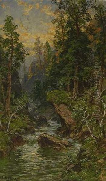 Wildbach - view 1