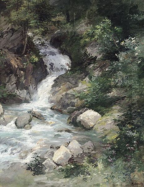 Waldbach Mit Katarakt Im Sonnigen Licht - view 1