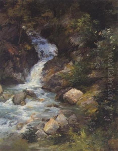 Bachlauf Auf Waldlichtung - view 1