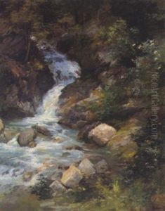 Bachlauf Auf Waldlichtung