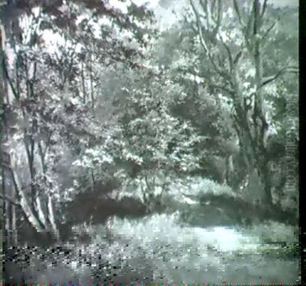 Waldweg - view 1