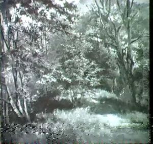Waldweg by Marie Oesterley