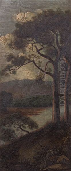 Landscape - view 1