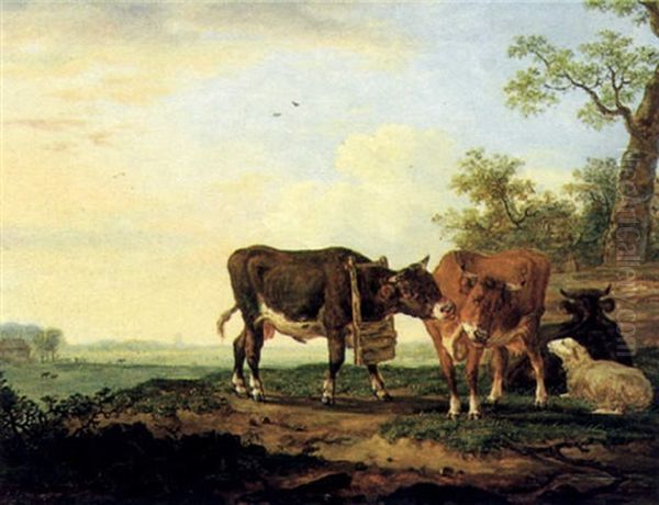 Rinder Und Ein Schaf Auf Der Weide - view 1
