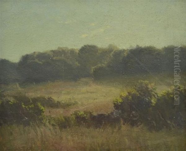 Landscape - view 1