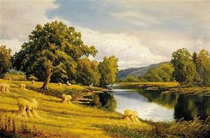 Haystacks In Landscape