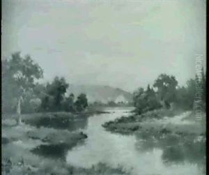 Landscape With Birds