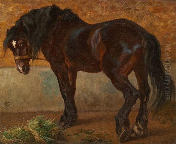 Cheval De Trait - view 1