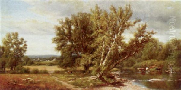 Country Landscape - view 1