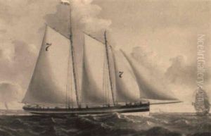 The Liverpool Pilot Schooner Lancashire Witch by Charles Ogilvy