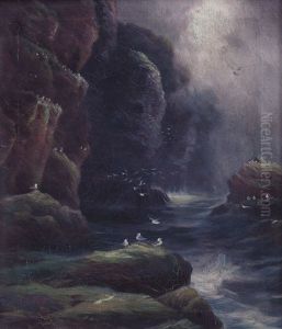 Gabbiani Sulla Scogliera by John Connell Ogle