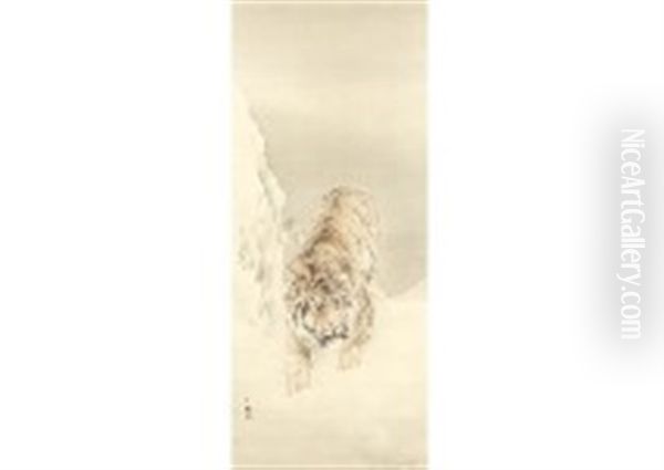 Tiger In Snow - view 1