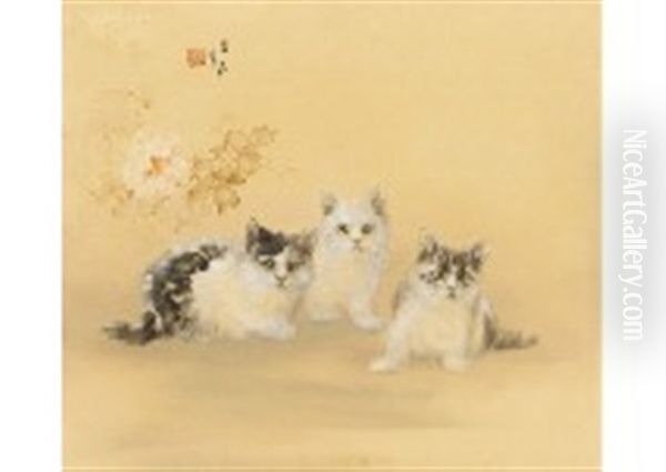 Kitten - view 1