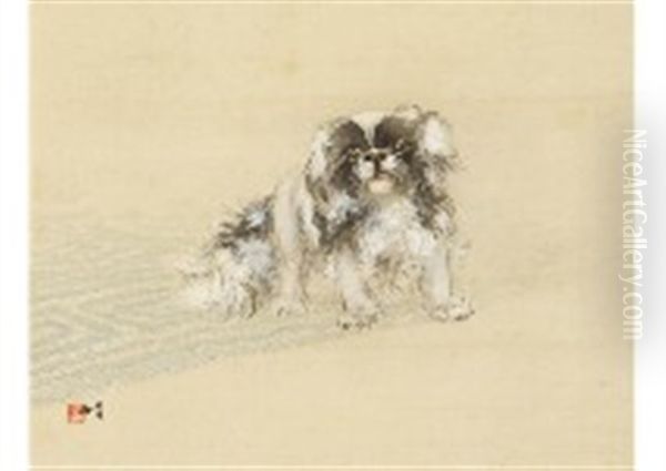Dog - view 1