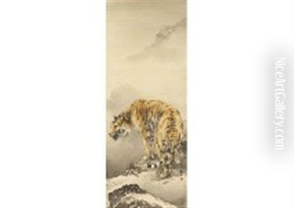 Tiger - view 1