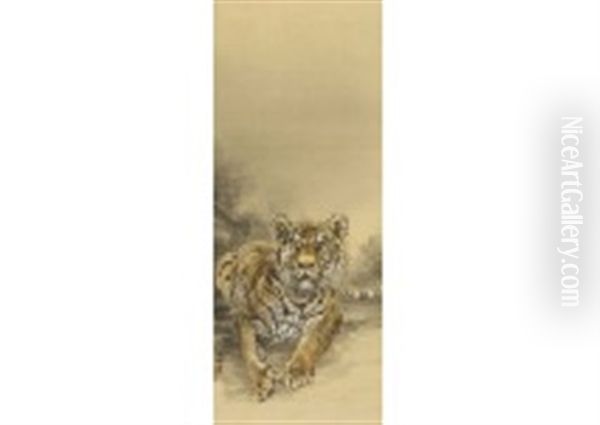 Wild Tiger - view 1