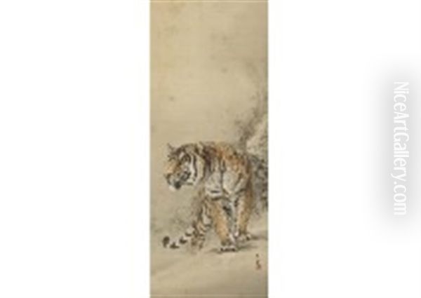 Tiger - view 1