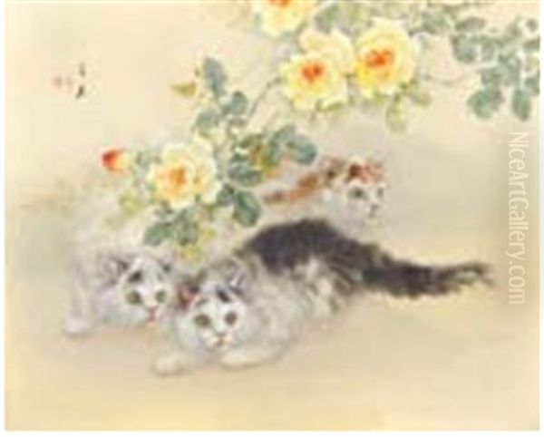 Cats - view 1