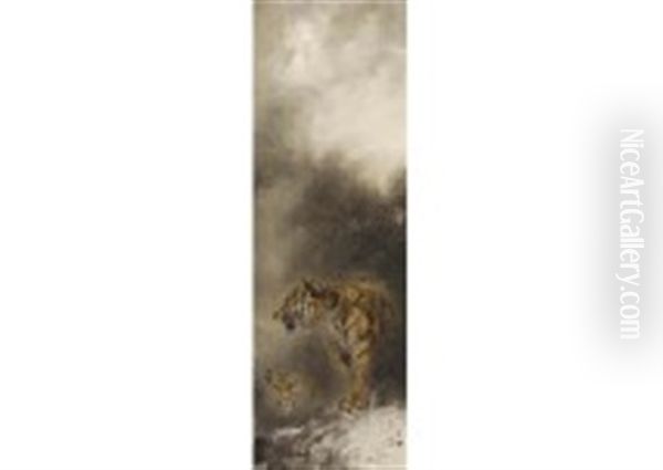 Tiger - view 1