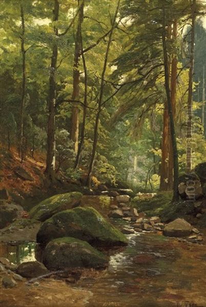 A) Sonnendurchflutetes Waldinneres Im Sommer B) Sonnendurchflutetes Waldinneres Im Herbst (pair) - view 1