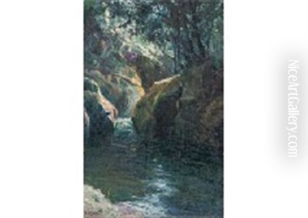 Mountain Stream - view 1