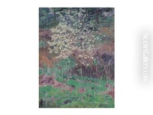 Tree And Weed