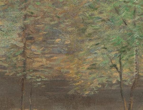 Pond Between Trees - view 1
