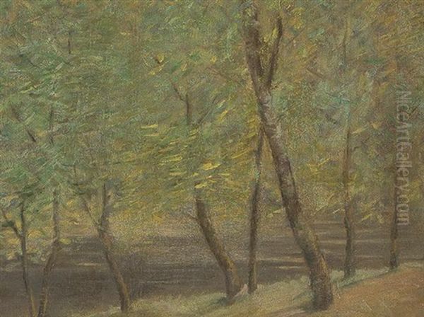 Pond Between Trees - view 1